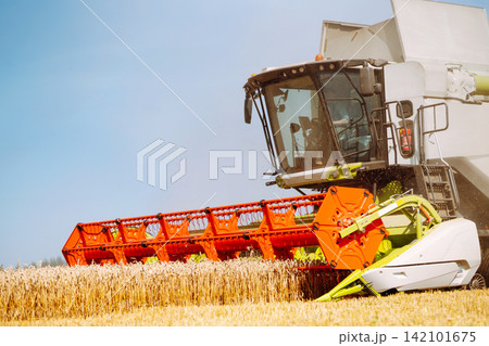Industrial combine harvester machine reaping gather ripe wheat cereal field meadow on summer day. 142101675