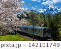 桜の下を走る大糸線 142101749