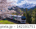 桜の下を走る大糸線 142101751