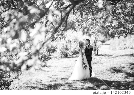 Young couple enjoying romantic moments while walking in the park. Romantic Married young family. Young couple enjoying romantic moments while walking in the park. Romantic Married young family. 142102349