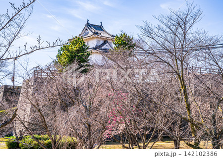 【日本100名城】丸亀城 本丸御門跡と天守2 香川県丸亀市 【日本100名城】丸亀城 本丸御門跡と天守2 香川県丸亀市 142102386