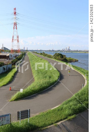 市川大橋から見下ろす江戸川放水路右岸の堤防と遊歩道 市川大橋から見下ろす江戸川放水路右岸の堤防と遊歩道 142102683