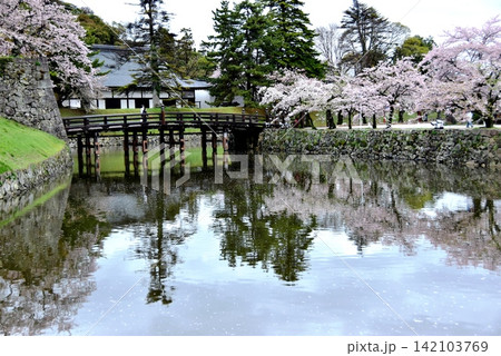 滋賀県 彦根城内堀と満開桜と表門橋 滋賀県 彦根城内堀と満開桜と表門橋 142103769