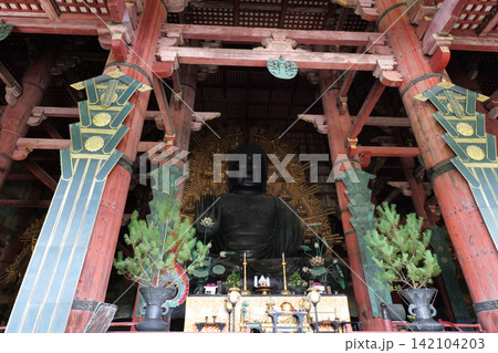 Buddhist Temple and Buddha Statue in Nara, Japan 142104203