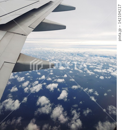 飛行機の翼 飛行機の翼 142104217