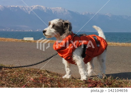 愛犬とライド 142104656