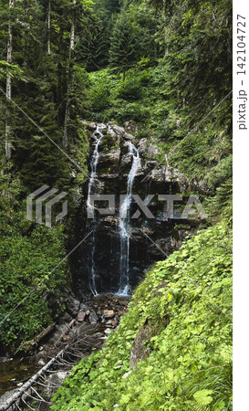 Scenic Waterfall in Lush Mountain Forest Scenic Waterfall in Lush Mountain Forest 142104727