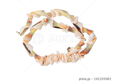 Seashell neck ornament isolated on white background. Crafted seashell necklace. Coastal style. Gift idea. Seashell neck ornament isolated on white background. Crafted seashell necklace. Coastal style. Gift idea. 142105065