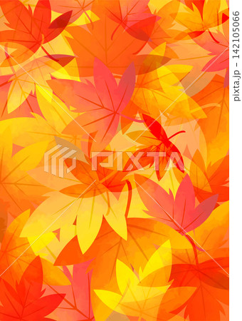 落ちた紅葉のイラスト 銀杏 もみじ 落ちた紅葉のイラスト 銀杏 もみじ 142105066