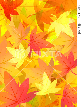 落ちた紅葉のイラスト 銀杏 もみじ 落ちた紅葉のイラスト 銀杏 もみじ 142105068