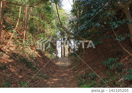 坂元城跡の空堀（蓑首城跡）宮城県山元町 142105205