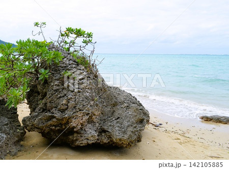 八重山諸島-3 142105885