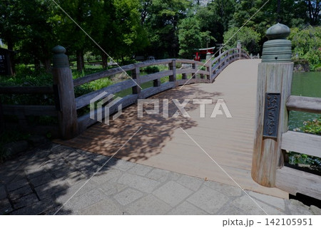 洗足池公園の歴史ある木造太鼓橋「けさぎはし」と新緑の風景 洗足池公園の歴史ある木造太鼓橋「けさぎはし」と新緑の風景 142105951