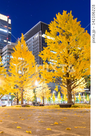 丸の内にある行幸通りのとても綺麗ないちょう並木のライトアップ風景 丸の内にある行幸通りのとても綺麗ないちょう並木のライトアップ風景 142106228