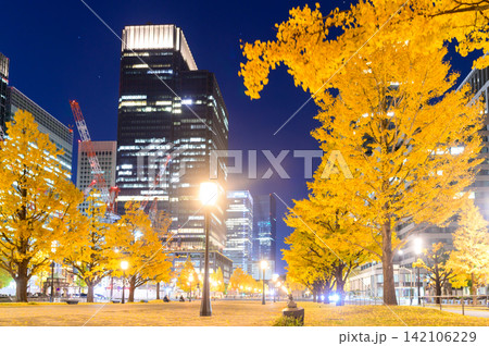 丸の内にある行幸通りのとても綺麗ないちょう並木のライトアップ風景 丸の内にある行幸通りのとても綺麗ないちょう並木のライトアップ風景 142106229