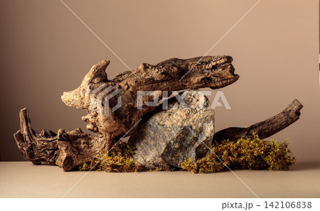 Old dry wooden snag, large crushed granite stone, and moss on a beige background. Old dry wooden snag, large crushed granite stone, and moss on a beige background. 142106838