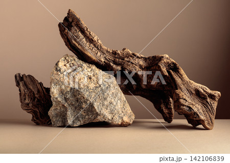 Old dry wooden snag and large crushed granite stone on a beige background. Old dry wooden snag and large crushed granite stone on a beige background. 142106839