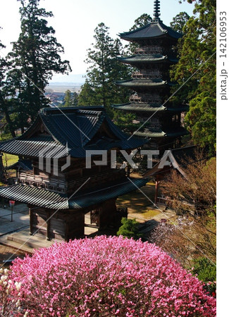 春の善寶寺・山門と五重塔 春の善寶寺・山門と五重塔 142106953