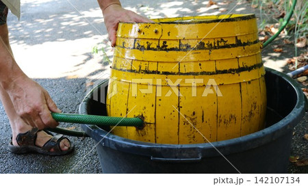 A man fills a yellow wooden barrel with water, which sits in a large black basin. A green garden hose is inserted directly into the side opening of the barrel, a close-up side view. A man fills a yellow wooden barrel with water, which sits in a large black basin. A green garden hose is inserted directly into the side opening of the barrel, a close-up side view. 142107134