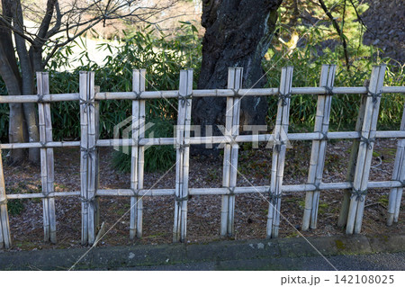 Traditional Japanese Bamboo Fence with Rope Ties in Garden Setting Traditional Japanese Bamboo Fence with Rope Ties in Garden Setting 142108025