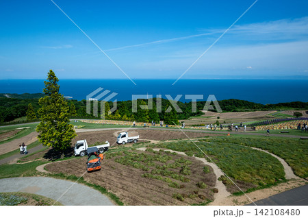 淡路島の花さじきから海を見下ろして 淡路島の花さじきから海を見下ろして 142108480