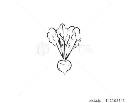 Hand Drawn Vegetable Line Art Vector Collection, Botanical Outline Illustrations of Fresh Vegetables, Minimalist Floral Elements, Decorative Food Design for Packaging, Branding and Menus Hand Drawn Vegetable Line Art Vector Collection, Botanical Outline Illustrations of Fresh Vegetables, Minimalist Floral Elements, Decorative Food Design for Packaging, Branding and Menus 142108543