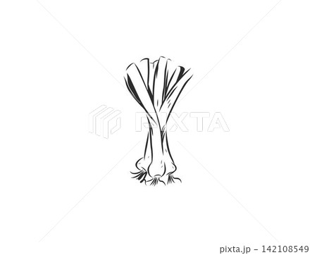 Hand Drawn Vegetable Line Art Vector Collection, Botanical Outline Illustrations of Fresh Vegetables, Minimalist Floral Elements, Decorative Food Design for Packaging, Branding and Menus 142108549