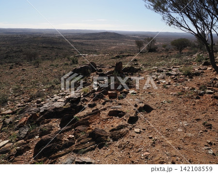 シルバートン荒野の丘陵景観—岩場前景と点在植生が示す内陸地形記録 シルバートン荒野の丘陵景観—岩場前景と点在植生が示す内陸地形記録 142108559