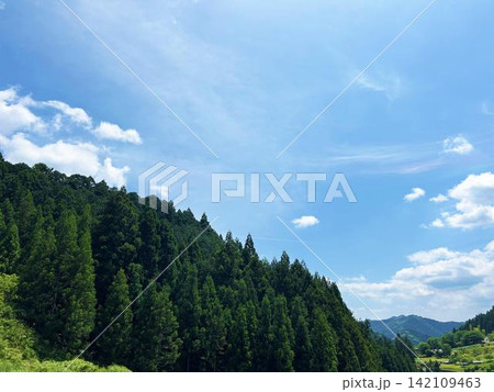 緑あふれる森林と穏やかな空模様 緑あふれる森林と穏やかな空模様 142109463