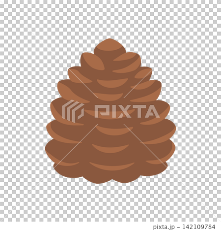 Pine cone illustration material Pine cone illustration material 142109784