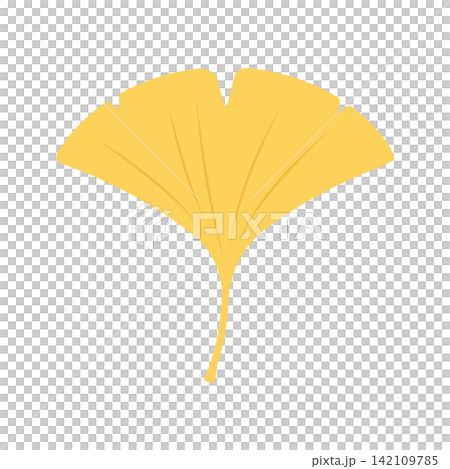 銀杏插圖素材 銀杏插圖素材 142109785