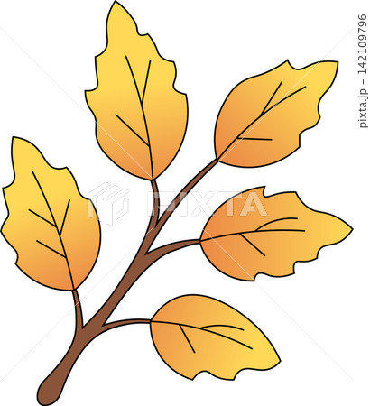 Autumn golden yellow leaves branch with five leafy twigs for seasonal fall foliage nature tree garden decoration design element Autumn golden yellow leaves branch with five leafy twigs for seasonal fall foliage nature tree garden decoration design element 142109796