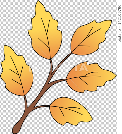 Autumn golden yellow leaves branch with five leafy twigs for seasonal fall foliage nature tree garden decoration design element 142109796