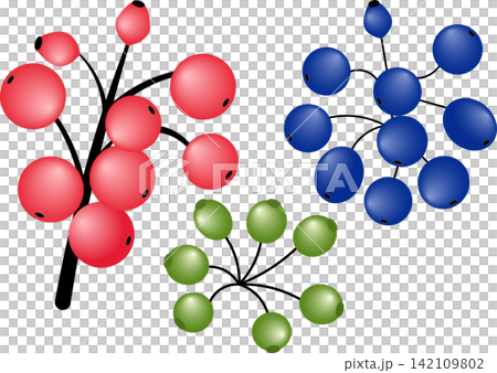 Autumn wild berries branches set with red blue and green berry twigs for natural botanical floral arrangement seasonal decoration design Autumn wild berries branches set with red blue and green berry twigs for natural botanical floral arrangement seasonal decoration design 142109802