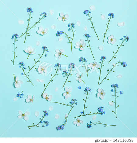Light turquoise background with spring flowers Light turquoise background with spring flowers 142110359