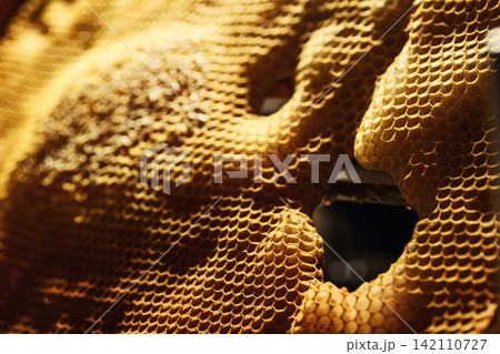 Macro close up of fresh raw liquid honey filled inside wax honeycomb cells texture background Macro close up of fresh raw liquid honey filled inside wax honeycomb cells texture background 142110727