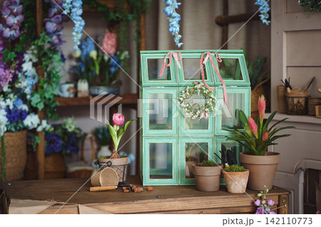 Vintage green mini greenhouse terrarium on wooden table with potted plants 142110773
