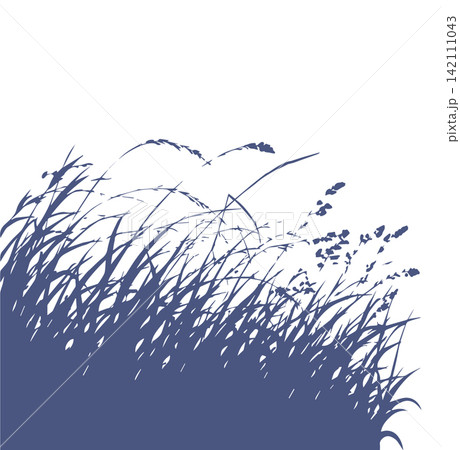 Grass blue silhouette vector isolated on white background nature design illustration of grass plant pattern greenery artwork Hand drawn. Not AI, vector illustration. Grass blue silhouette vector isolated on white background nature design illustration of grass plant pattern greenery artwork Hand drawn. Not AI, vector illustration. 142111043