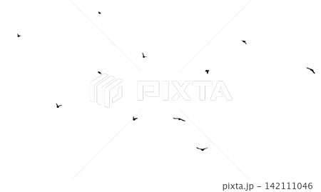 Flying birds silhouette flock. hand drawing. Not AI. Vector illustration 142111046