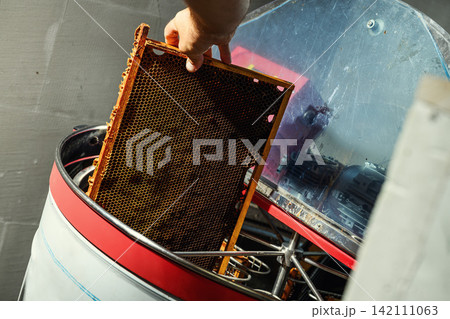Beekeeper loading wooden frame with honeycomb into centrifugal honey extractor machine Beekeeper loading wooden frame with honeycomb into centrifugal honey extractor machine 142111063