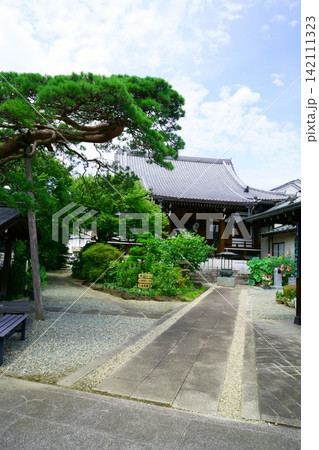 9617　川越七福神　第二番　天然寺（寿老人） 142111323