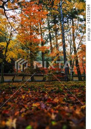 広島県紅葉の名所三原佛通寺の紅葉 広島県紅葉の名所三原佛通寺の紅葉 142111964
