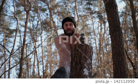 Muscular bearded guy chopping firewood in sunny winter forest. Shirtless young man working with axe in snowy woodland. Concept of strength, masculine, energy and harmony with nature during cold season Muscular bearded guy chopping firewood in sunny winter forest. Shirtless young man working with axe in snowy woodland. Concept of strength, masculine, energy and harmony with nature during cold season 142112050