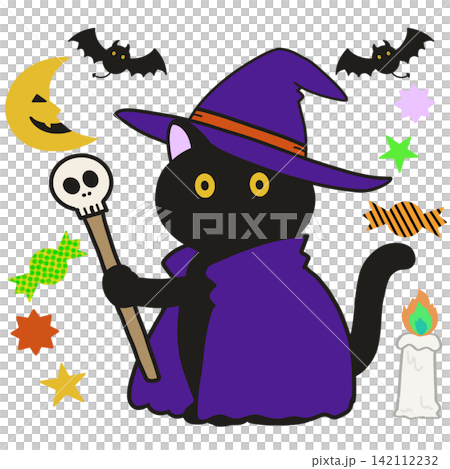 ハロウィンの仮装をした黒猫 ハロウィンの仮装をした黒猫 142112232