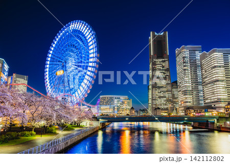 横浜 桜満開のみなとみらいの夜景 横浜 桜満開のみなとみらいの夜景 142112802