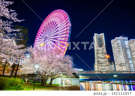 横浜 桜満開のみなとみらいの夜景 横浜 桜満開のみなとみらいの夜景 142112857