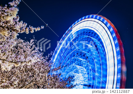 横浜みなとみらい21 夜桜と観覧車 横浜みなとみらい21 夜桜と観覧車 142112887