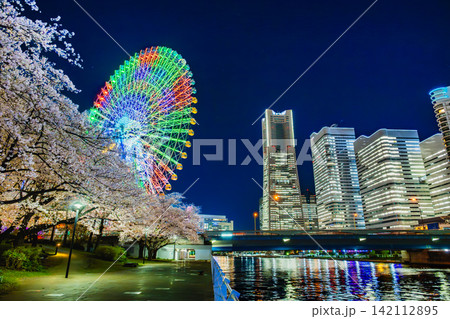 横浜 桜満開のみなとみらいの夜景 横浜 桜満開のみなとみらいの夜景 142112895