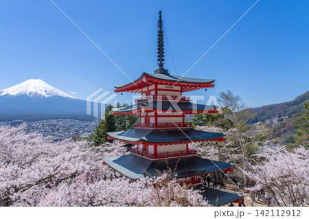 春の新倉山浅間公園から望む満開の桜と残雪の富士山と五重塔 春の新倉山浅間公園から望む満開の桜と残雪の富士山と五重塔 142112912