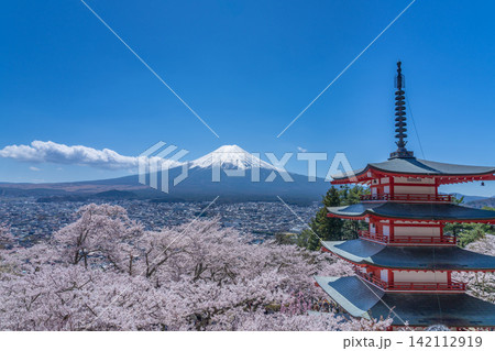 春の新倉山浅間公園から望む満開の桜と残雪の富士山と五重塔 春の新倉山浅間公園から望む満開の桜と残雪の富士山と五重塔 142112919